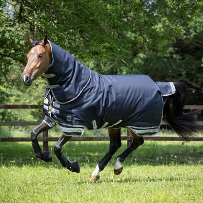 LeMieux Arika Storm-tec 200 gr 183 (6'0) donkerblauw maat:148 / 6'6