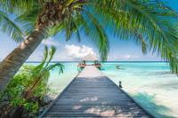 Ravensburger Puzzel voor Volwassenen 4000 Stukjes - Droomstrand op de Malediven - 14+ - Puzzel van topkwaliteit, gemaakt in Europa - 12001737 - thumbnail