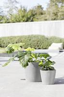 Ecopots Amsterdam kunststof bloempot Grijs/Wit - Ø 18 cm - thumbnail