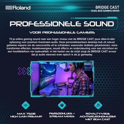Roland Bridge Cast