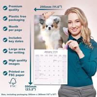 Chihuahua Kalender 2026 - thumbnail