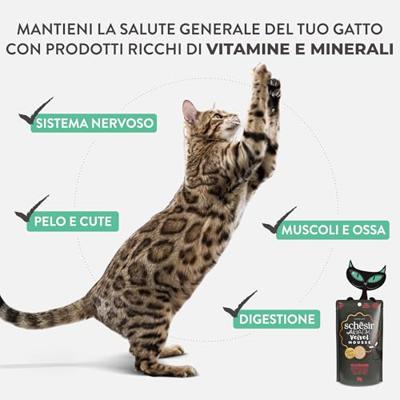Schesir ad velvet kat kip&rund 12x80 gr - Malanico - thumbnail