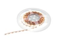EUROLITE LED Strip 300 5m 3528 3000K 24V Constant Current - thumbnail