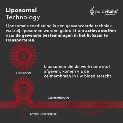 Purovitalis Liposomale Resveratrol Capsules Purovitalis Liposomale Resveratrol Capsules