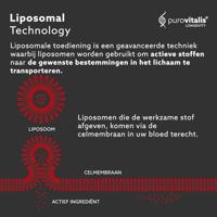 Purovitalis Liposomale Resveratrol Capsules - thumbnail