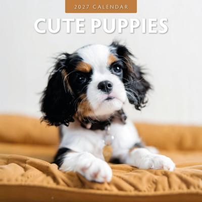 Cute Puppies Kalender 2027