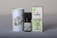 Volatile Engelwortel (Angelica Archangelica) 2,5ml - thumbnail