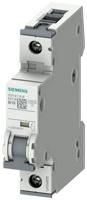 Siemens 5SY41106 5SY4110-6 Zekeringautomaat 10 A - thumbnail