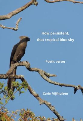 How persistent, that tropical blue sky - Carin Vijfhuizen - ebook