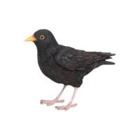 Esschert Design merel 17,4x5,9x11,8cm - thumbnail