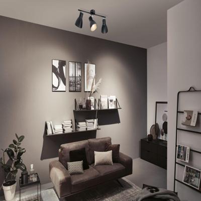 Paulmann 66761 Plafondspot E27 Zwart