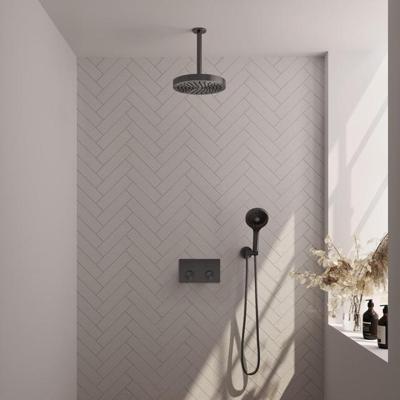 Brauer Stripe thermostatische inbouw regendouche met drukknoppen SET 30 met 25 cm douchekop en plafondarm en 3-standen handdouche en doucheslang en wandaansluitbocht gunmetal geborsteld PVD