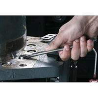 Facom ringsteeksleutel ogv 25 mm - 440.25 - thumbnail