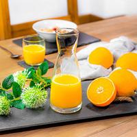 Bormioli Rocco Karaffen Ypsilon - Transparant - 500 ml - 6 stuks - thumbnail