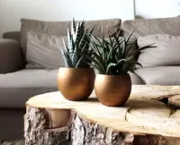 Capi Vaas bol Retro 17x14 goud - thumbnail