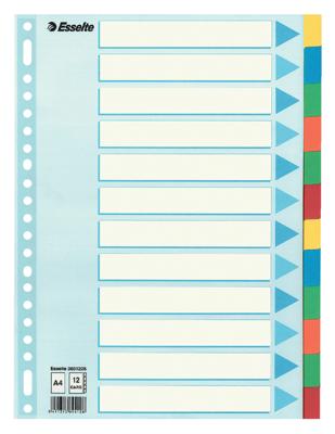 Esselte tabbladen 12 tabs, karton van 220 g/m²