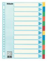 Esselte tabbladen 12 tabs, karton van 220 g/m² - thumbnail