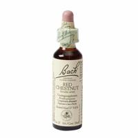 Bach Flower Remedies Rode Kastanje 25 - thumbnail