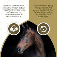 Excellent Horse H.M.P. Powder 1 kg - thumbnail