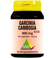 SNP Garcinia cambogia 500mg puur 30 Vegetarische capsules - thumbnail