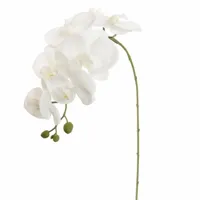 Pure Royal kunsttak phalaenopsis 85cm wit - thumbnail