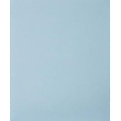 PFERD TOOLS 45015100 Handschuurpapier Korrelgrootte (num) 1000 (l x b) 280 mm x 230 mm 50 stuk(s) PFERD TOOLS 45015100 Handschuurpapier Korrelgrootte (num) 1000 (l x b) 280 mm x 230 mm 50 stuk(s)