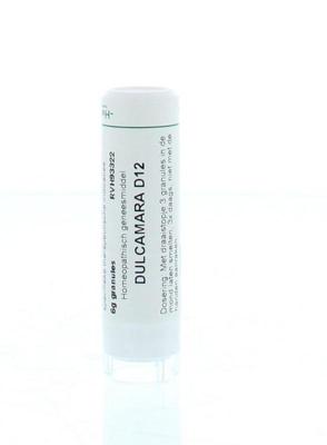 Homeoden Heel Dulcamara D12 6 Gram Homeoden Heel Dulcamara D12 6 Gram