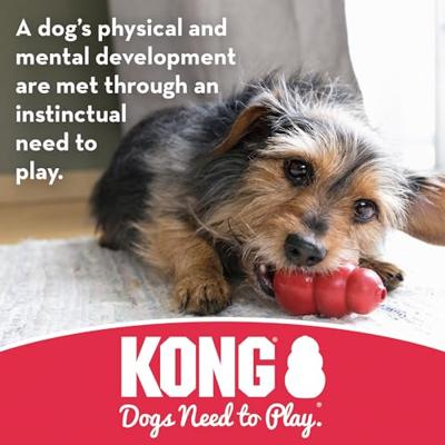 KONG PUPPY GOODIE BONE ROZE OF BLAUW ASSORTI 13X5X3 CM - thumbnail