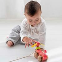 Educatief speelgoed Goula Goula Hout - thumbnail