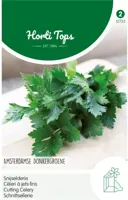 Zaden Snijselderie Amsterdamse Donkergroene Hortitops - Hortitops - thumbnail