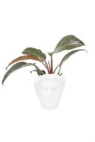 Zusss bloempot hoofd man keramiek wit - thumbnail