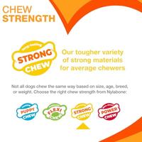 Kauwspeelgoed voor honden Nylabone Strong Chew Bacon Kaas Hamburgers Rubber Maat S - thumbnail