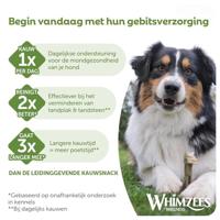 Whimzees Krokodil Large 6st - thumbnail
