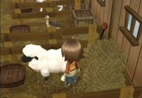 Harvest Moon Tree of Tranquility - thumbnail