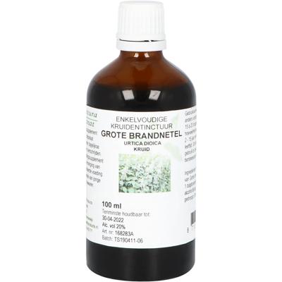 Grote Brandnetel