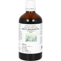 Grote Brandnetel - thumbnail