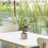 Begonia Rex kunstplant groen rood 20cm - thumbnail