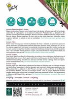 Zaden Xotica Groene Amsoi of mosterdkool Buzzy - Buzzy - thumbnail