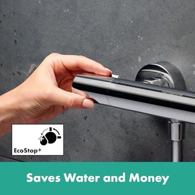 Hansgrohe Ecostat Element Opbouw douchethermostaat, chroom Hansgrohe Ecostat Element Opbouw douchethermostaat, chroom