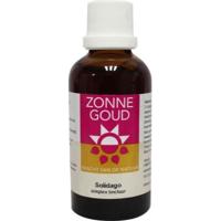 Solidago simplex tinctuur - thumbnail