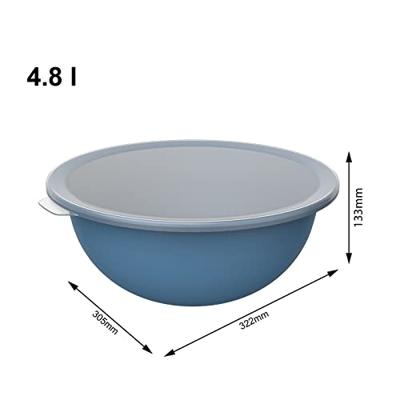 Rotho Schaal met Deksel 4.8L Horizon Blauw