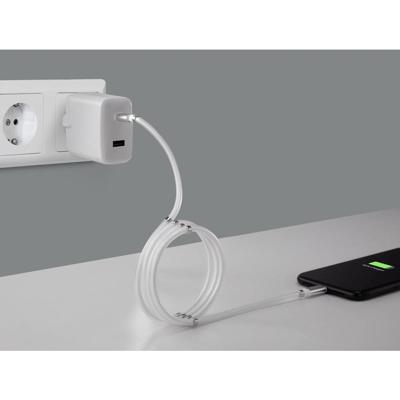 RENKFORCE USB 2.0 USB-C male kabel, Apple Lightning-stekker, 1.00 m, wit TO-6886779