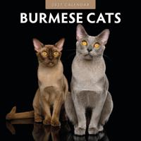 Burmees Kalender 2027 - thumbnail