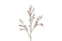 Decostar zijdebloem van wax Tamara 78 cm fuchsia - thumbnail