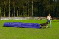 Beeztees Agility Tunnel met Zak - Hondenspeelgoed - 500x60x60 cm - thumbnail