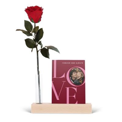 Infinity roos met foto standaard