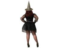 Kostuums voor Volwassenen Heks XXL - thumbnail