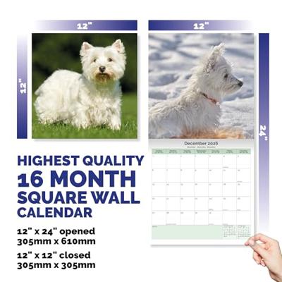 West Highland White Terrier Kalender 2026