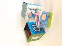 Rik bouwt een toren - Liesbet Slegers - Hardcover (9789002268038) - thumbnail