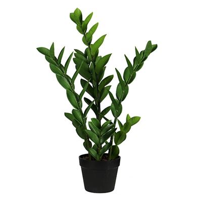 Zamioculcas 65 cm kunstbloem zijde nepbloem Buitengewoon de Boet - Buitengewoon de boet